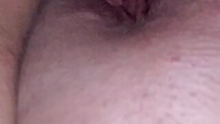 Creampie From My Bull